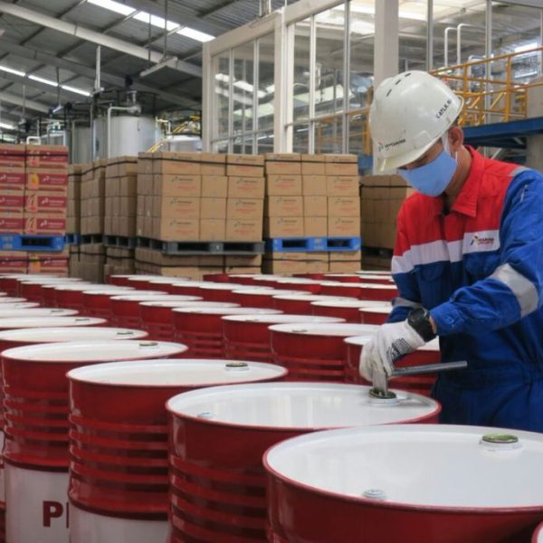 Pertamina Meditran P50